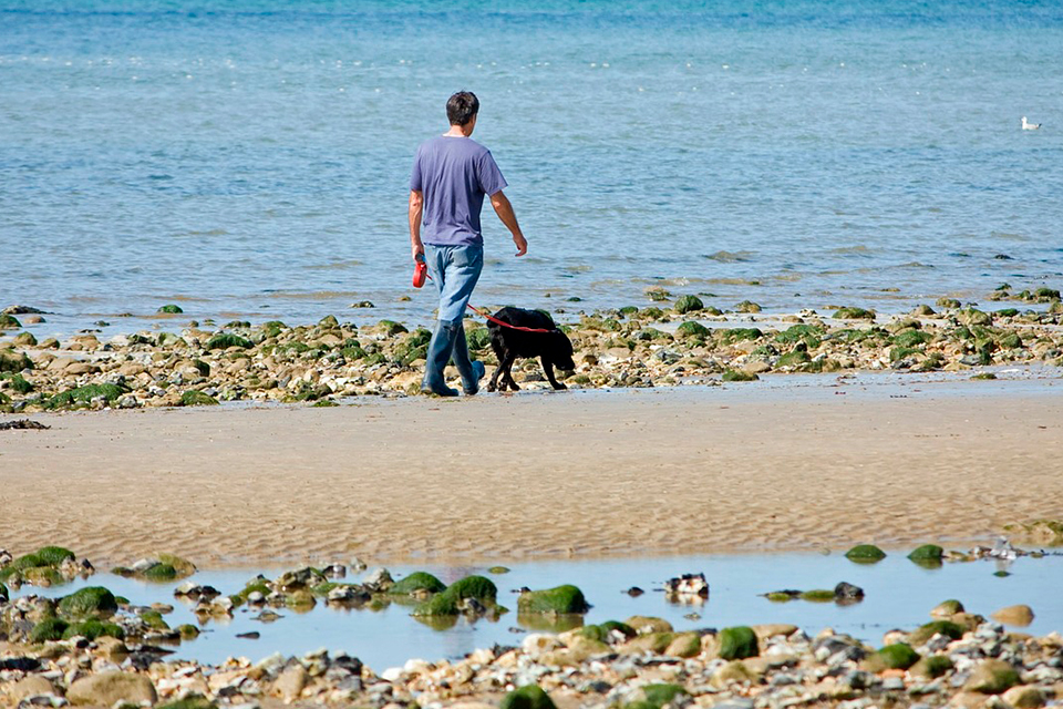 Man walking with the dog