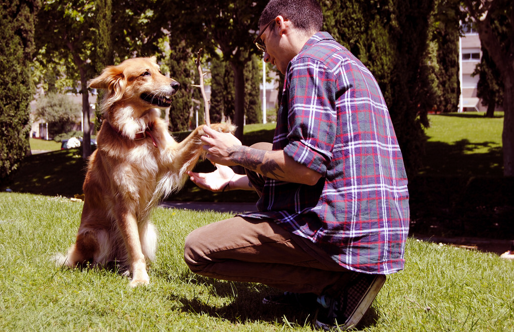 A man asking the dog to make a trick.