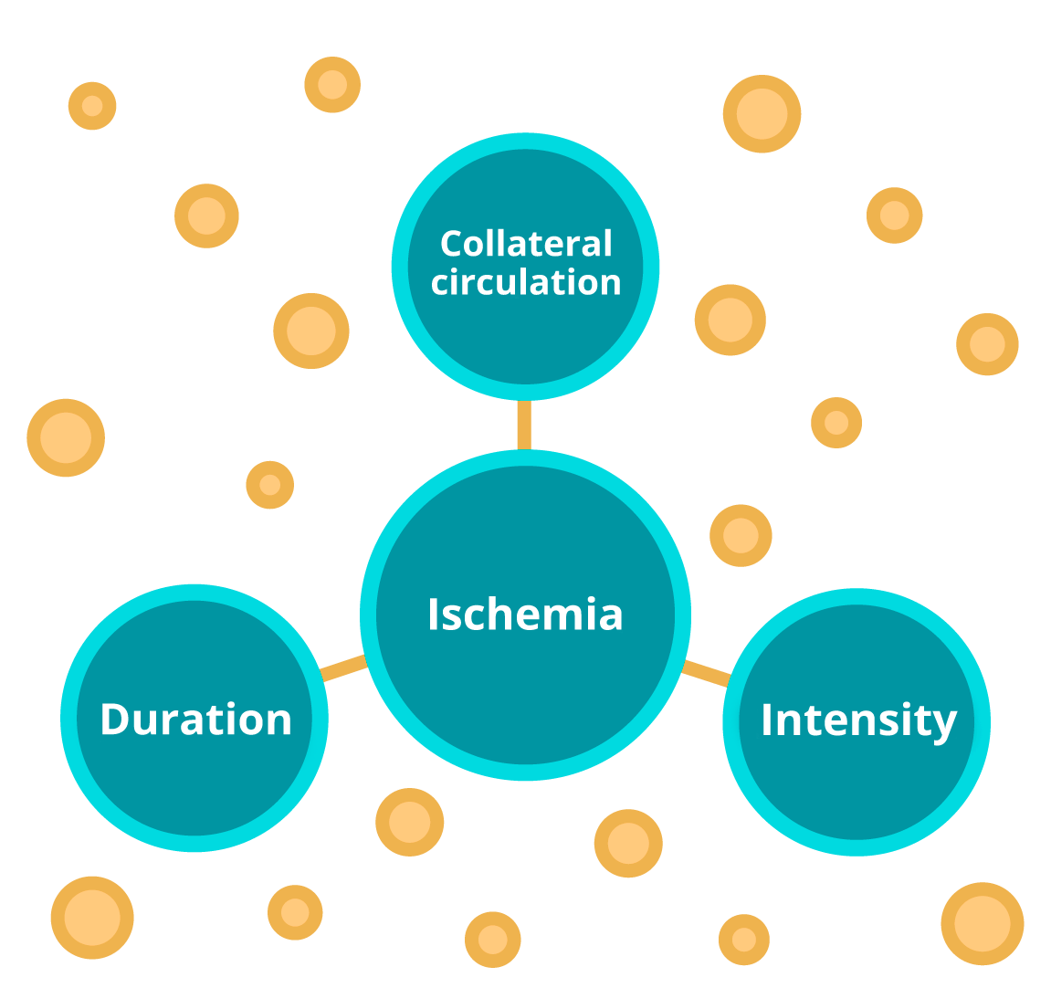 Factors of cerebral ischemia