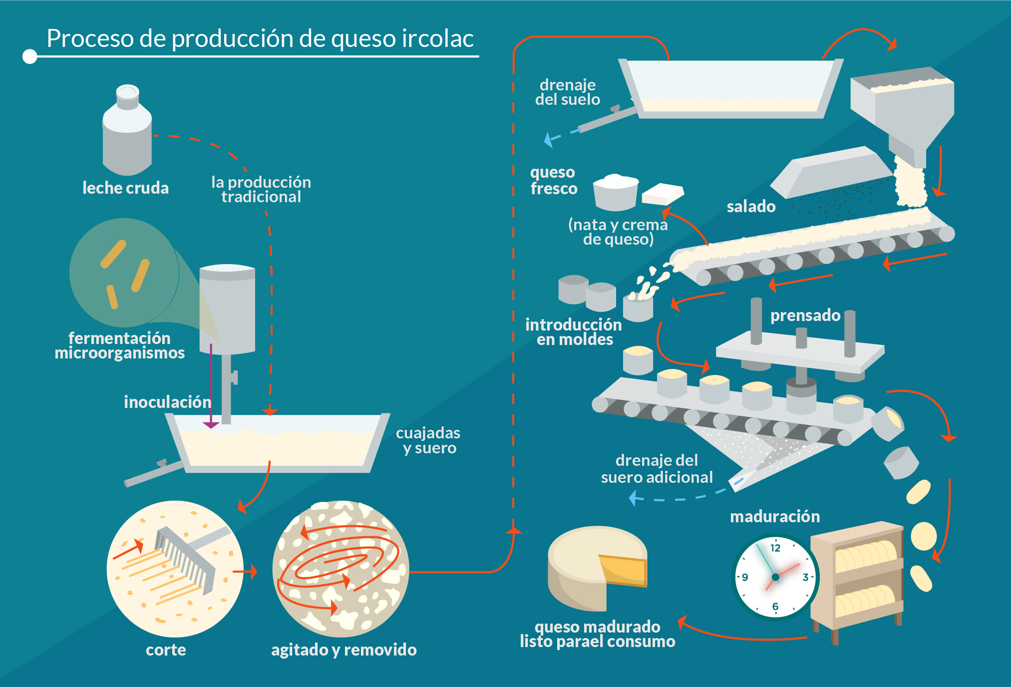 imagen que ilustra el proceso de producción del queso ircolac.