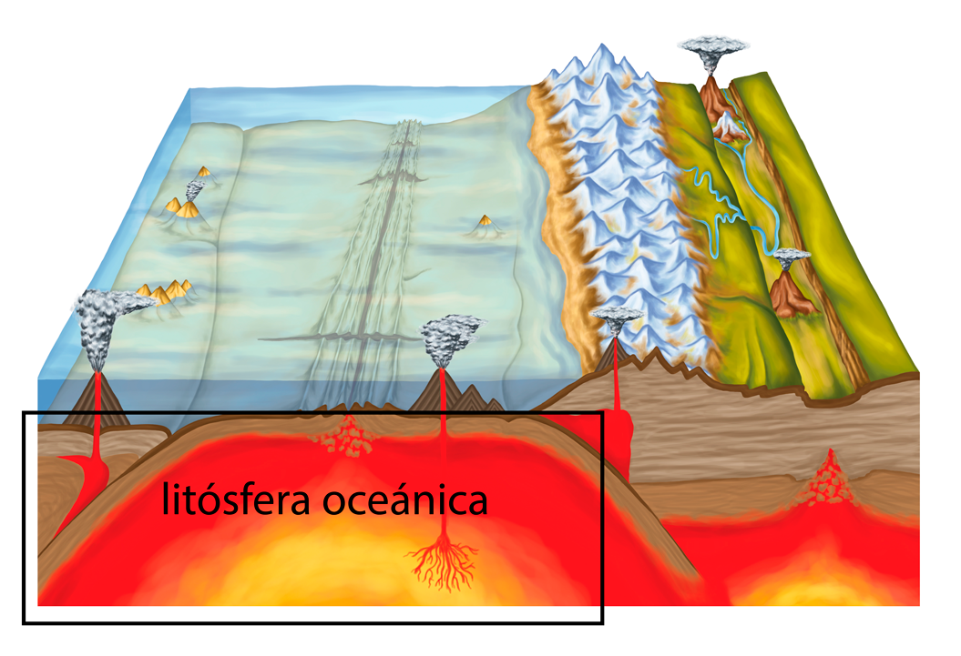 Esquema de los océanos y superficie de la Tierra, que ubica a la litósfera oceánica en los océanos de la Tierra 