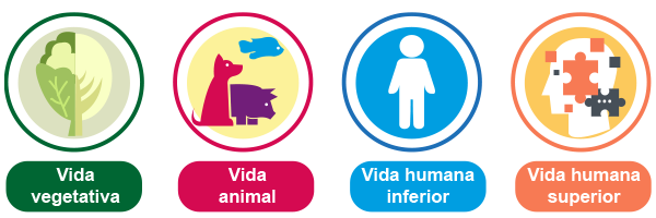 Imagen que muestra los diferentes tipos de vida (vegetal, animal, vida humana inferior y vida humana superior).
