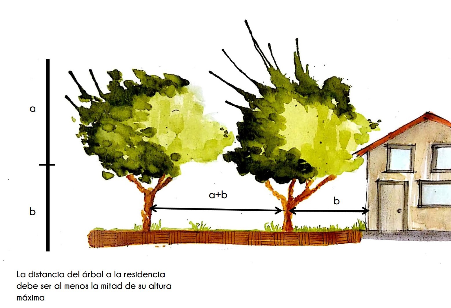 Ilustración de dos árboles junto a una casa