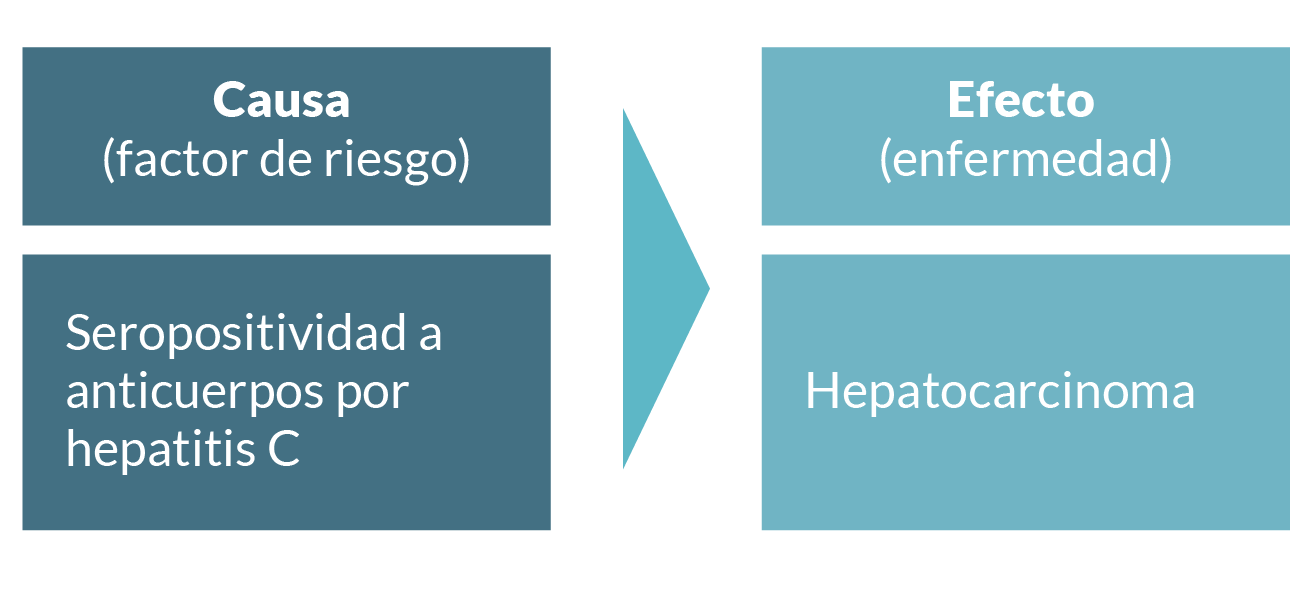 Esquema que muestra causa (Seropositividad a anticuerpos por hepatitis C) y efecto (Hepatocarcinoma).