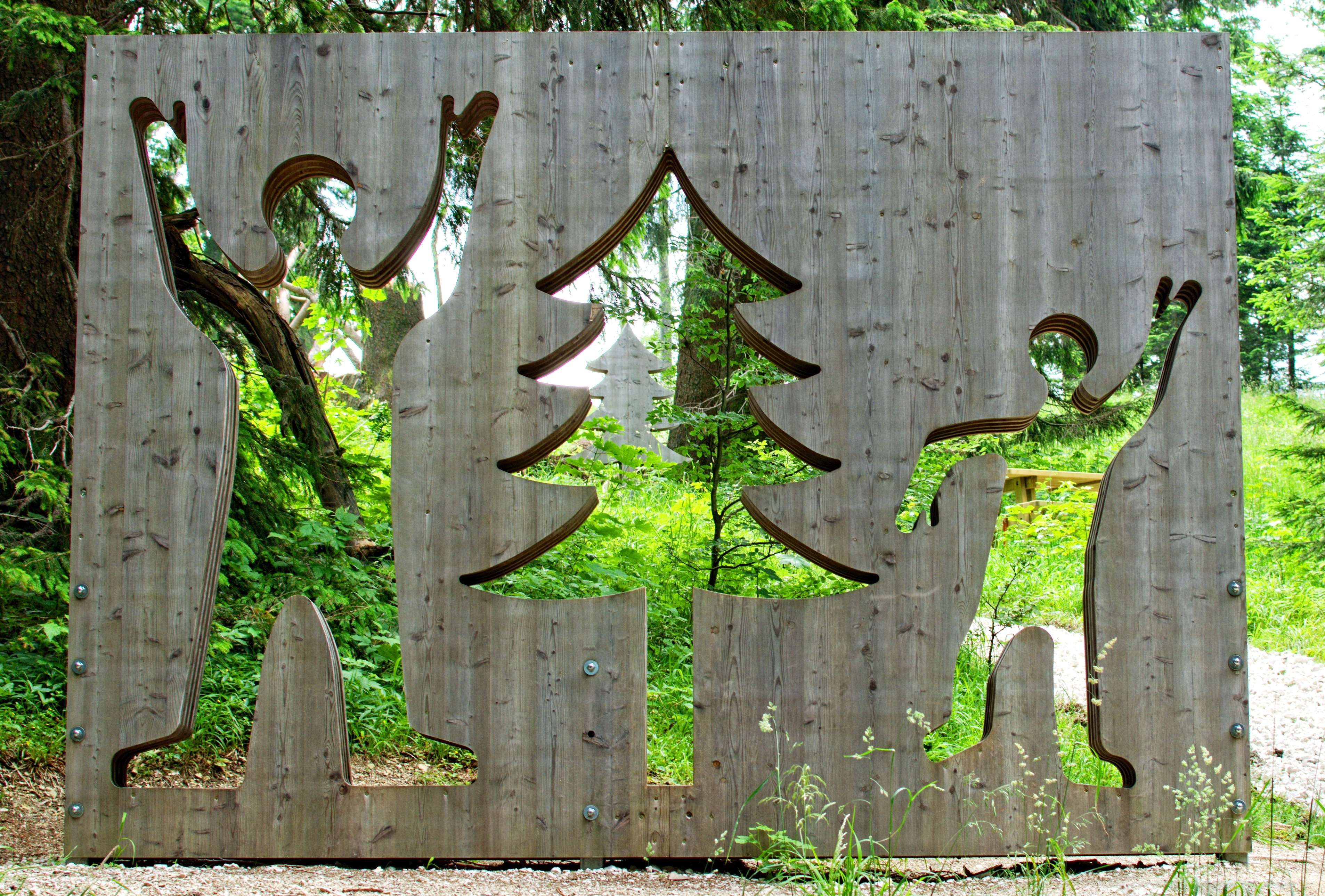  Imagen en la que se muestra una especie de pino  entre dos figuras humanas.
