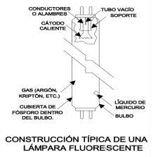 Ilustración de los componentes de una lámpara fluorescente, es decir, su estructura y en dónde se encuentra cada uno.