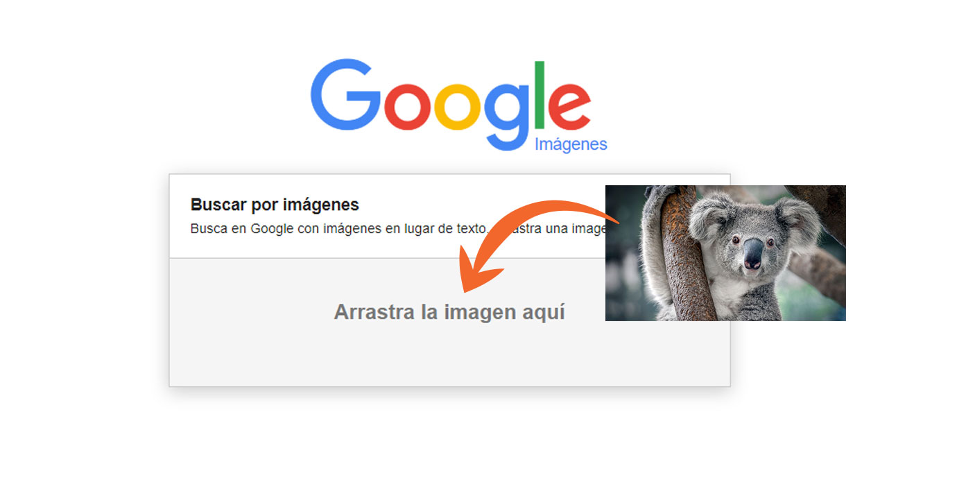 Buscador Google imágenes